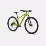 Specialized Rockhopper 29 Verde oliva satinado / negro Original - Image 2