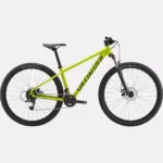 Specialized Rockhopper 29 Verde oliva satinado / negro Original